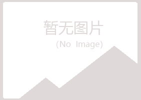 汪清县夜山化学有限公司